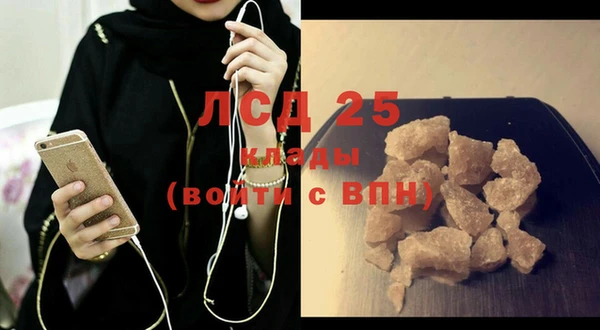 сатива Новозыбков