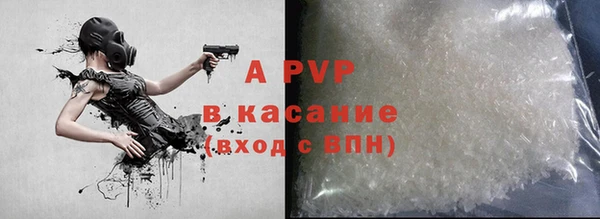 сатива Новозыбков