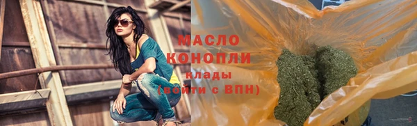 сатива Новозыбков