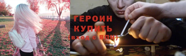 сатива Новозыбков