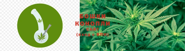 дурь Новодвинск