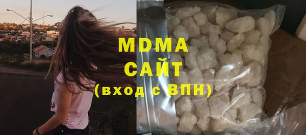 сатива Новозыбков