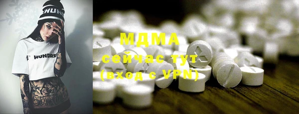 сатива Новозыбков
