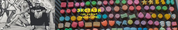 сатива Новозыбков