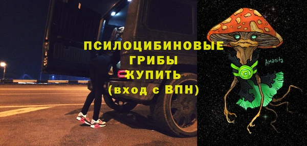 дурь Новодвинск