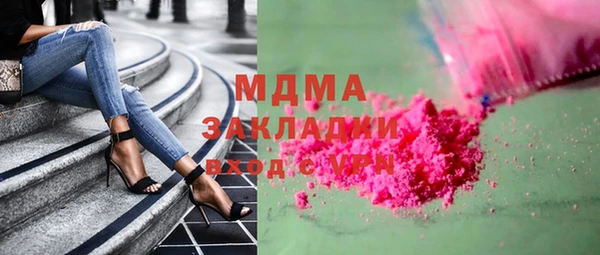 сатива Новозыбков