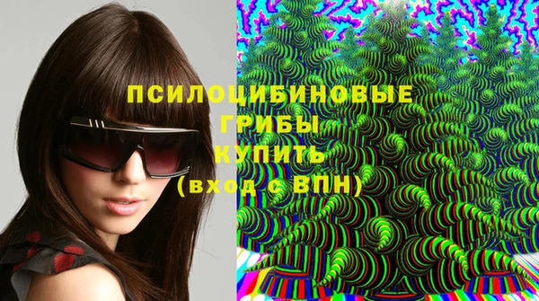 шишки Нягань